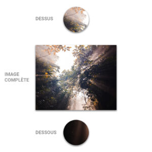 Tube - Inde - Modèle 11 - Foret - 2