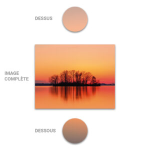 Tube - Inde - Modèle 5 - Arbres ensoleillés - 2