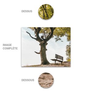 Tube - Inde - Modèle 21 - Arbre-Banc - 2 - Copie